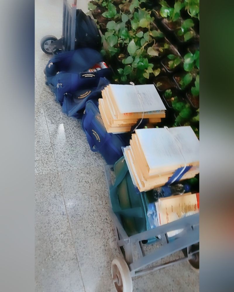 A trolley loaded with bags and stacks of legal files beside a wall of greenery