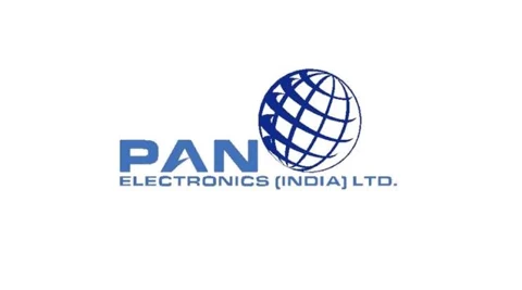 Pan Electronics (India) Ltd logo