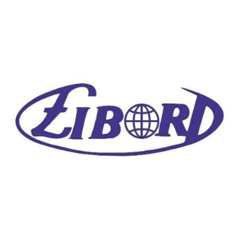 Libord Securities Ltd logo